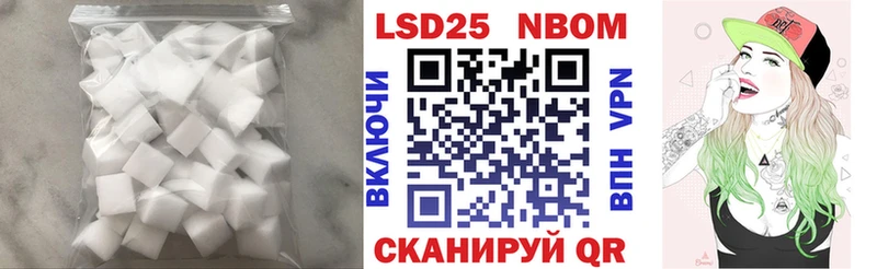 kraken как зайти  Клинцы  Лсд 25 экстази кислота  купить закладку 
