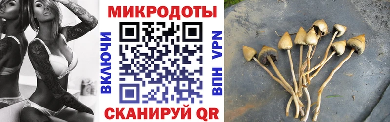 MEGA как войти  Клинцы  Псилоцибиновые грибы Magic Shrooms 